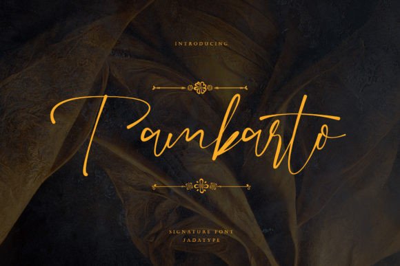 Tambarto: A Refined Script Font for Digital Branding
